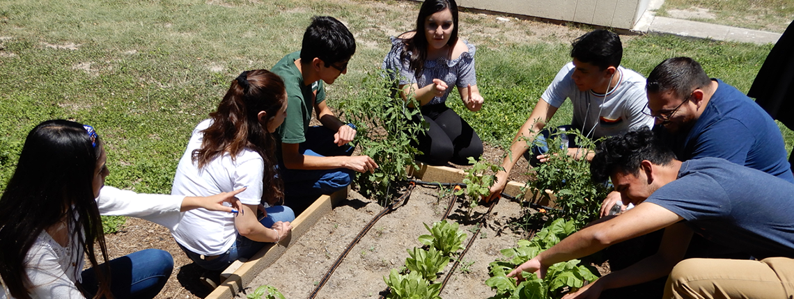 group of students gardening