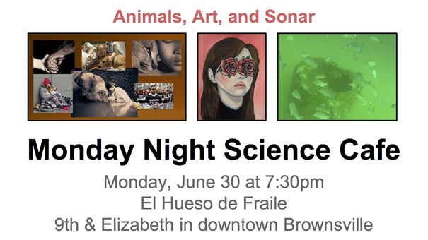 Animals, Art, and Sonar | Monday Night Science Cafe | Monday, June 30 at 7:30 pm | El Hueso de Fraile | 9th and Elizabeth in downtown Brownsville