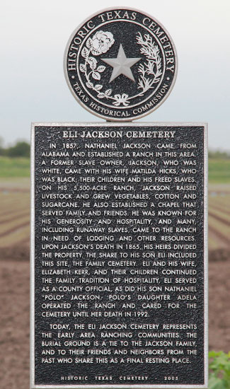 Historic Texas Cemetery Marker Eli Jackson Cemetery