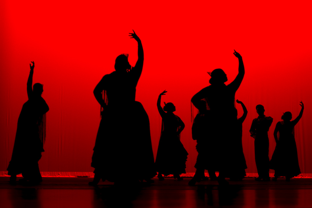The Center for Latin American Arts supported the Ballet Español Spanish Nights concert series with formal public concerts and performances for public schools, where students and community members could engage with the dancers and the Director of the Ballet Español program, Sonia Chapa, in one-on-one learning opportunities. 1