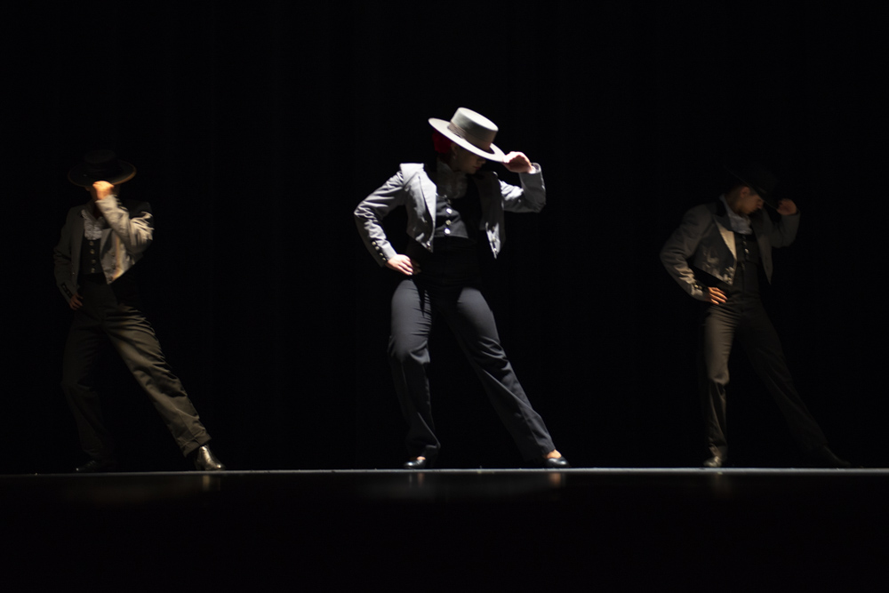 The Center for Latin American Arts supported the Ballet Español Spanish Nights concert series with formal public concerts and performances for public schools, where students and community members could engage with the dancers and the Director of the Ballet Español program, Sonia Chapa, in one-on-one learning opportunities. 4