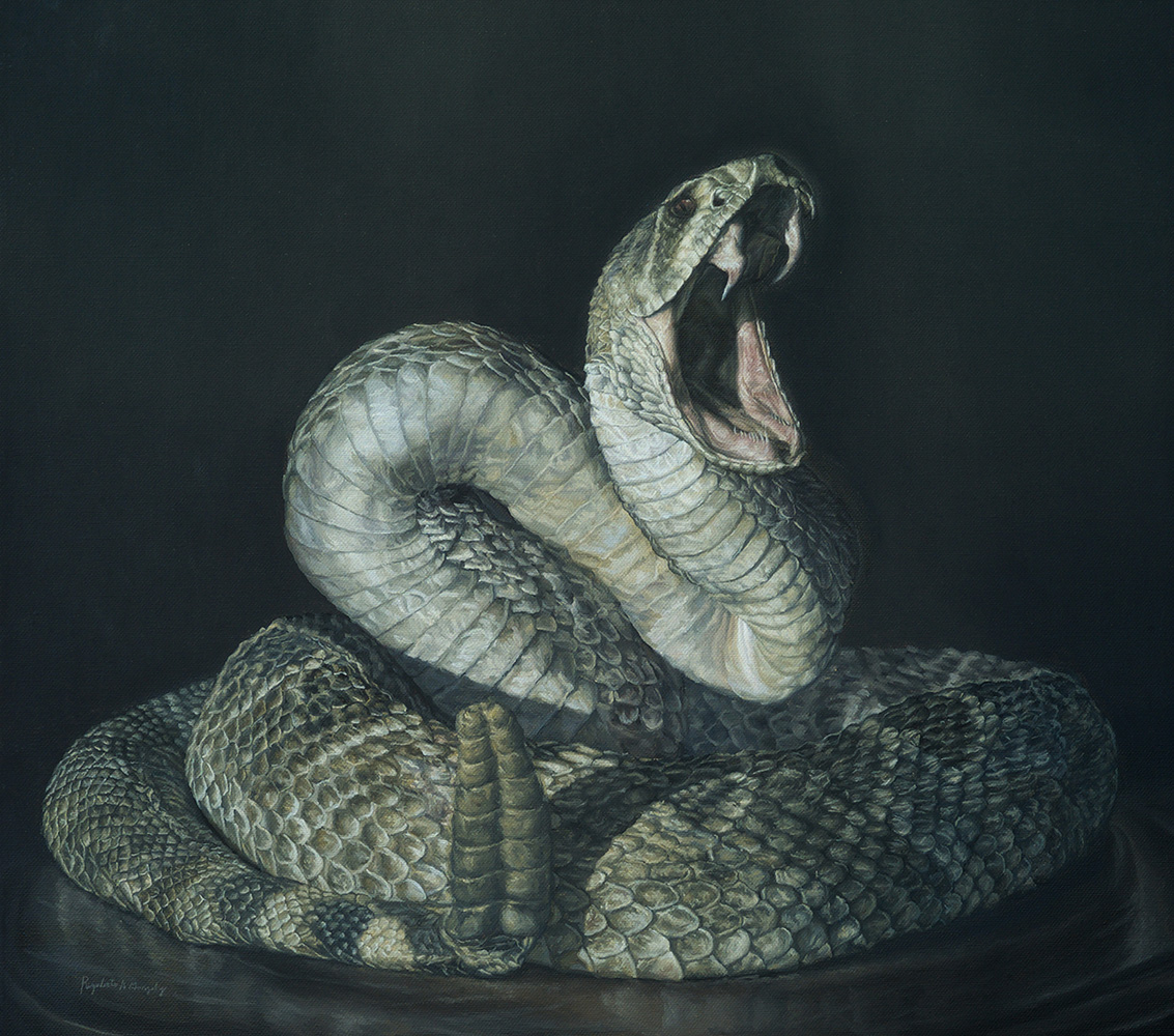 Crotalus, 2018 - Oil on linen - 30 x 36 in
