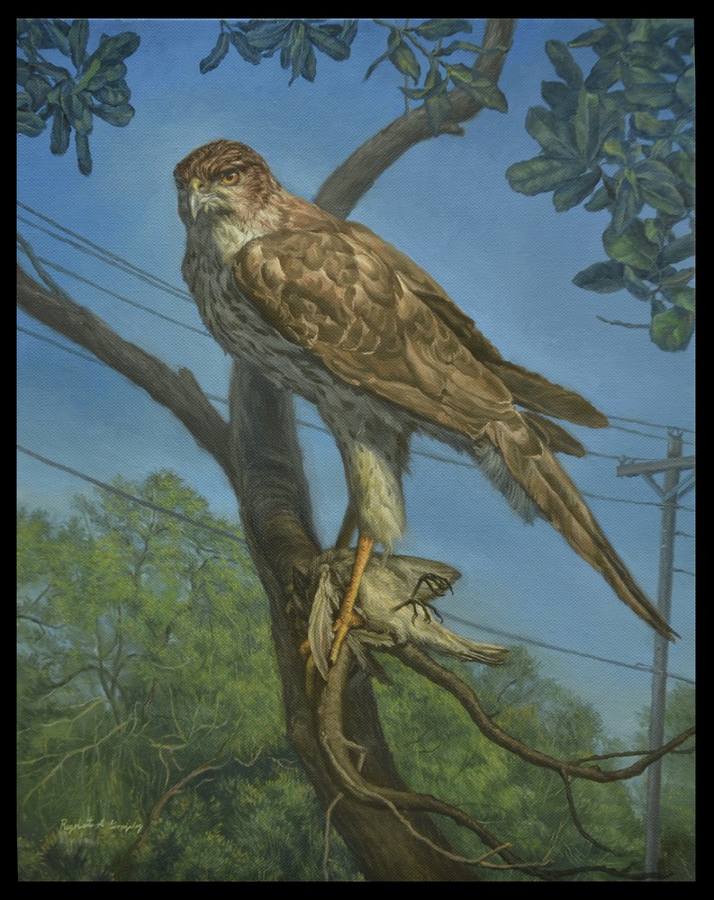 Hawk and Sparrow, 2016 - Oil on linen - 36 x 28 in 
