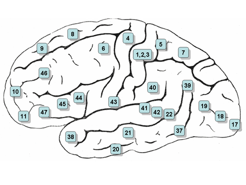 Research Current Projects 