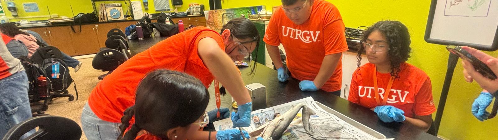 Students doing a shark dissection educational activity 