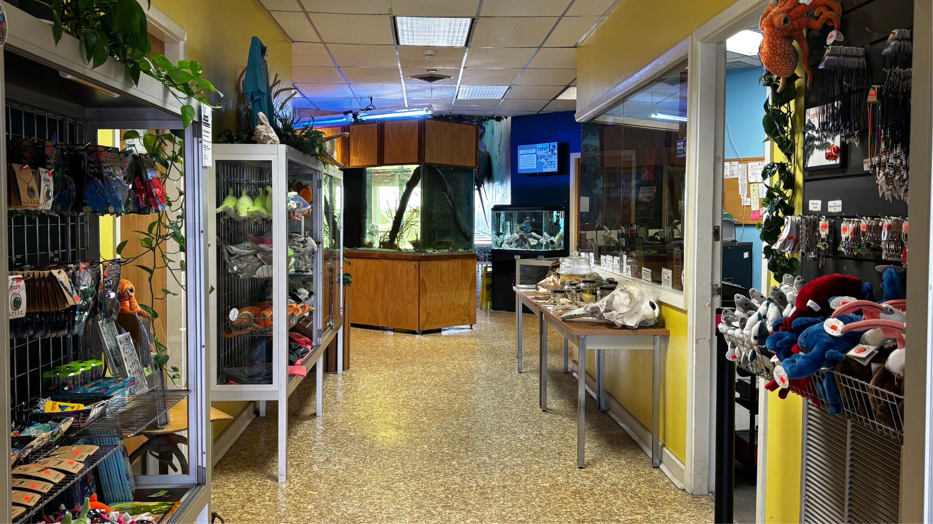 Giftshop with marine themed souvenirs