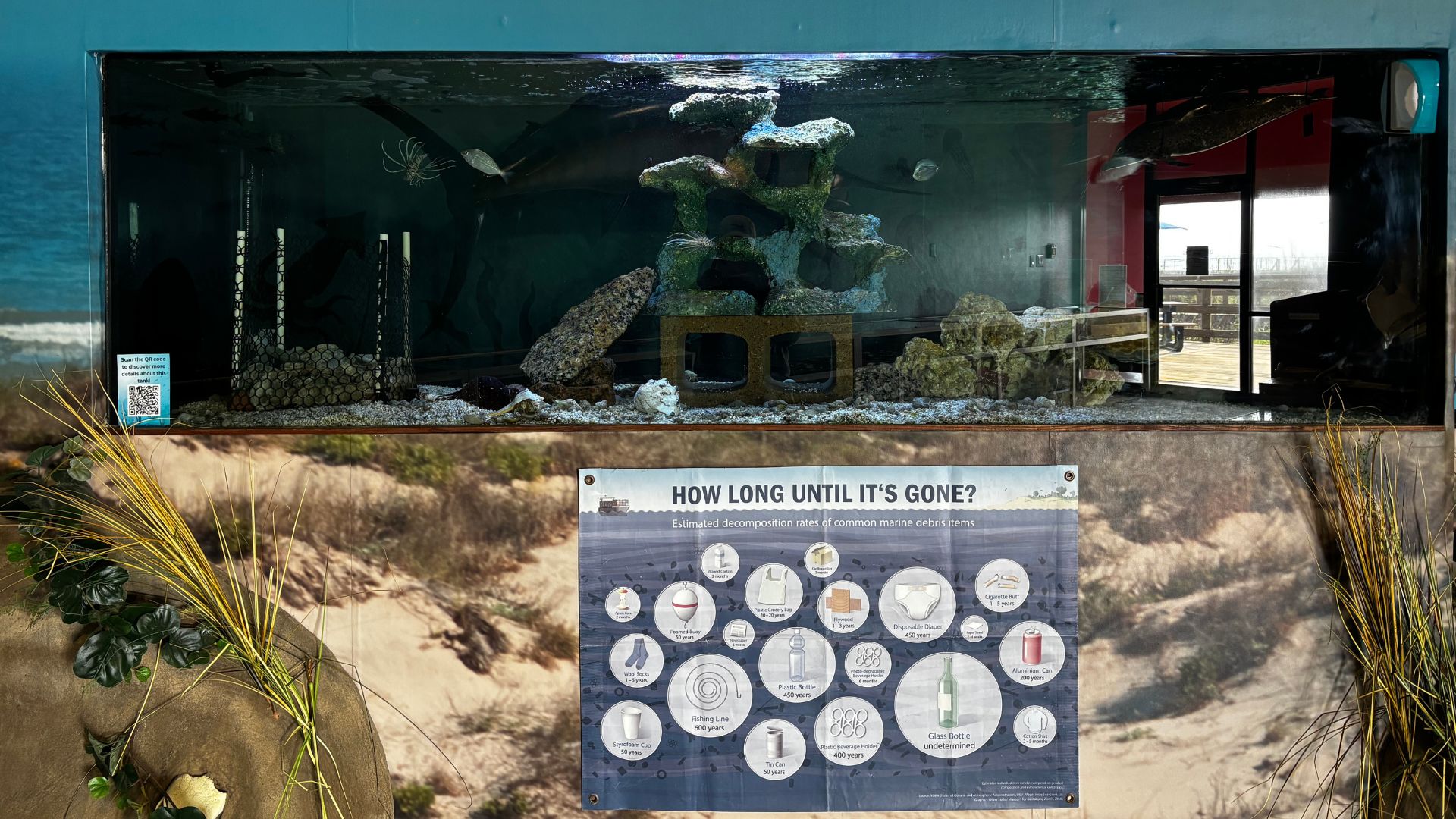 Aquarium tank 1