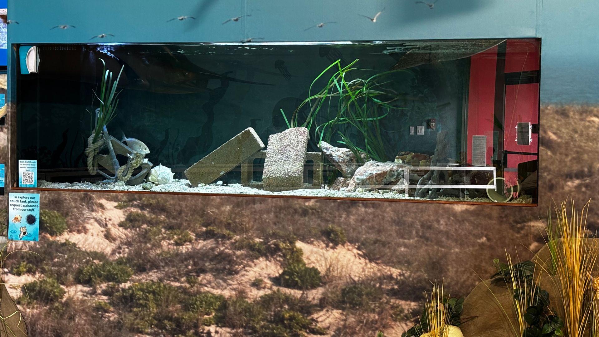 Aquarium tank 2