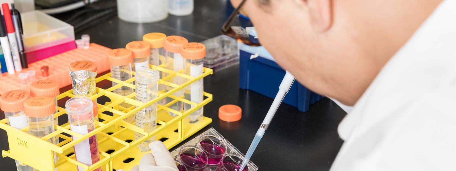 Researcher holding lab equipment.