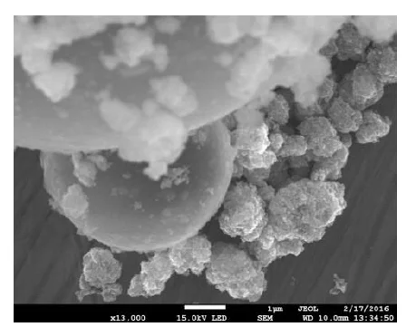 Scanning electron microscope image of titanium dioxide nanoparticles attached to glass microspheres.