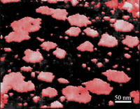 Lipid-Protein Interaction