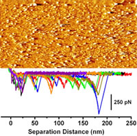 Protein folding, misfolding, and aggregation graph
