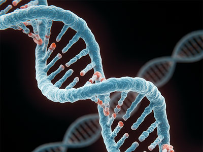 dna strand