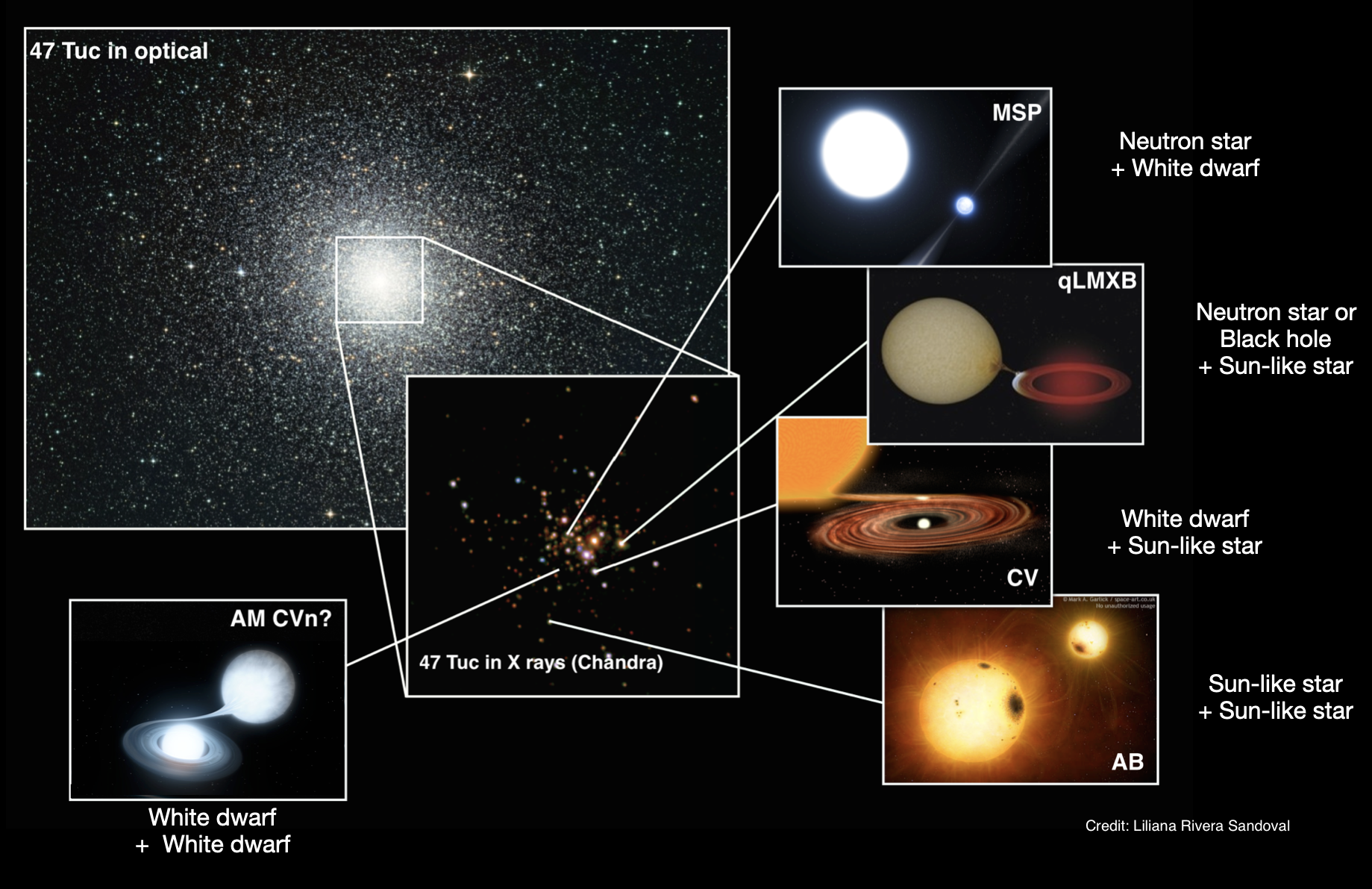 Compact binaries in Globular clusters