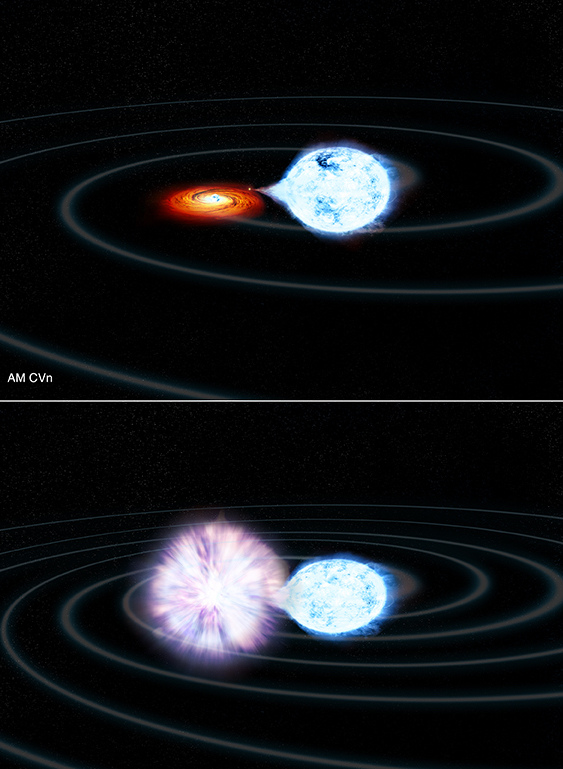 Ultracompact white dwarf binaries