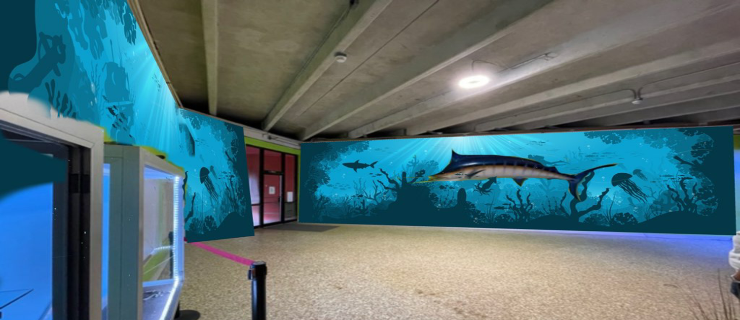 Our new aquariums