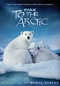 To the Arctic