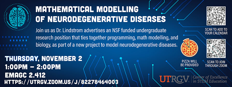 Mathematical Modelling of Neurodegenerative Diseases