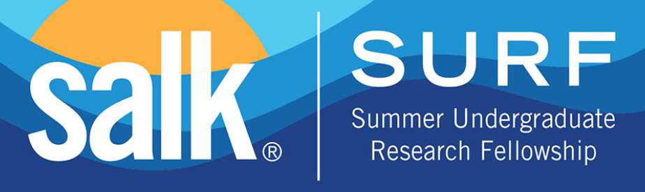 Salk Summer Undergraduate Research Fellowship  Learn More and Apply