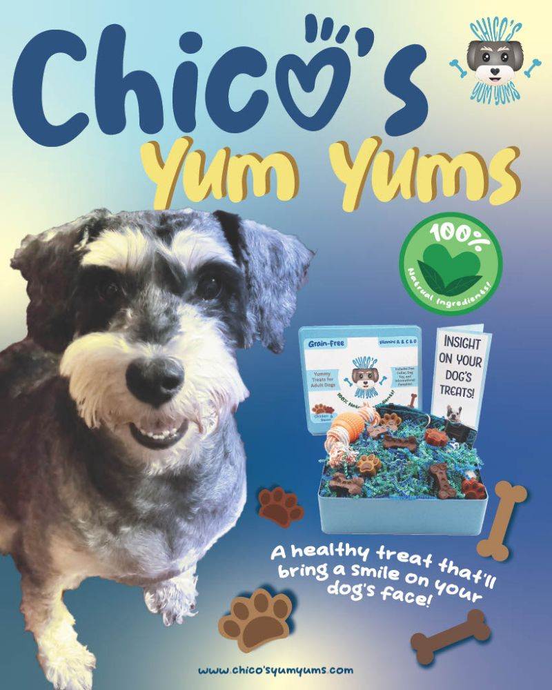 Chicos's Yum Yums  