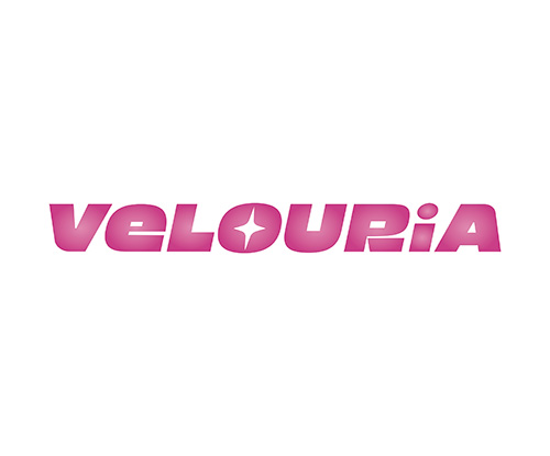 Valeria Y. Vela Sanchez Chavez personal logo