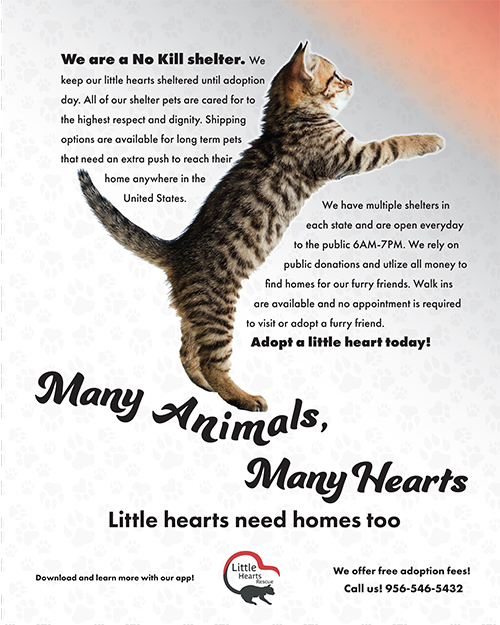 Little Hearts Rescue | UTRGV