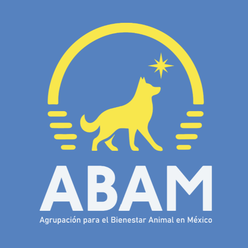 exhibit logo