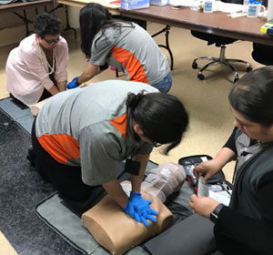 Employees practice chest compressions and rescue breaths during the CPR section of the American Red Cross course.