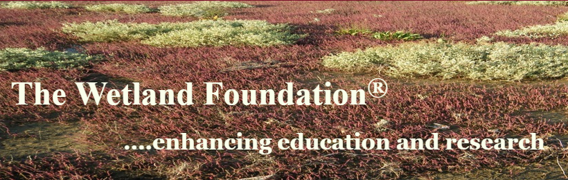The Wetland Foundation Grants