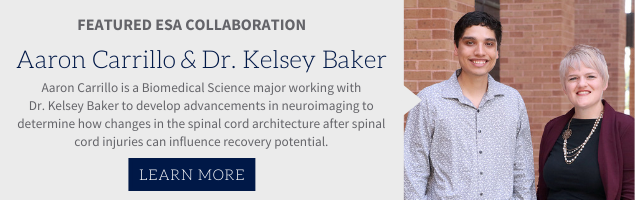 Featured ESA Collaboration, Aaron Carrilo & Dr. Kelsey Baker. Aaron Carrillo is a Biomedical Science major working with Dr. Kelsey Baker to develop advancements in neuroimaging to determine how changes in the spinal cord architecture after spinal cord injuries can influence recovery potential. 