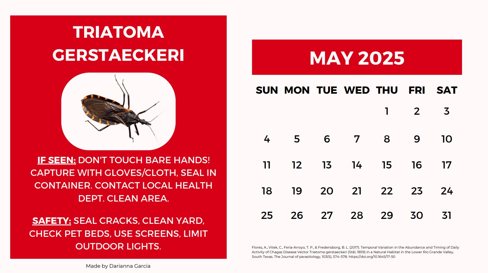 Triatoma Calendar in English