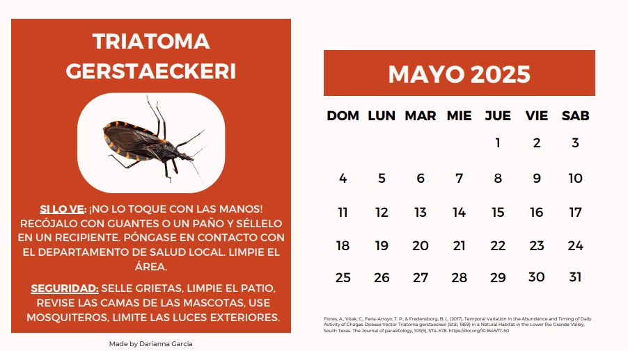 triatoma-calendario-espanol.jpg