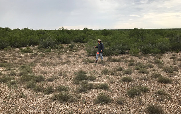 Landscape shot of research area