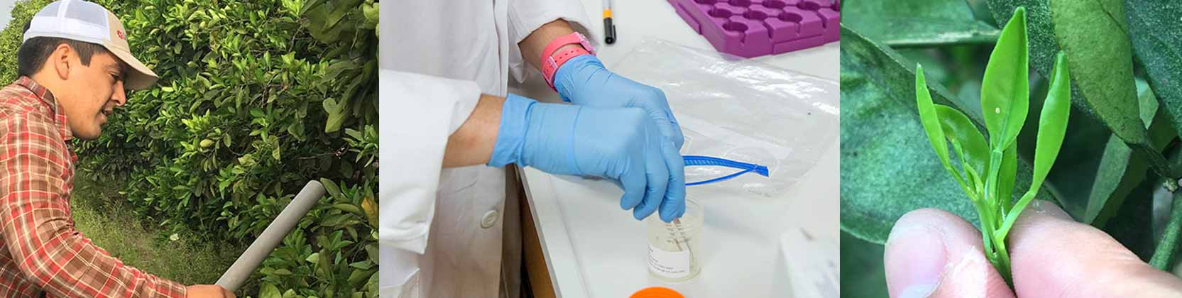 Ferialab Biosafety Laboratory | UTRGV