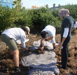 students working 03