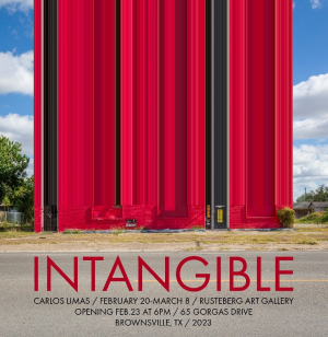 Intangible Exhibit