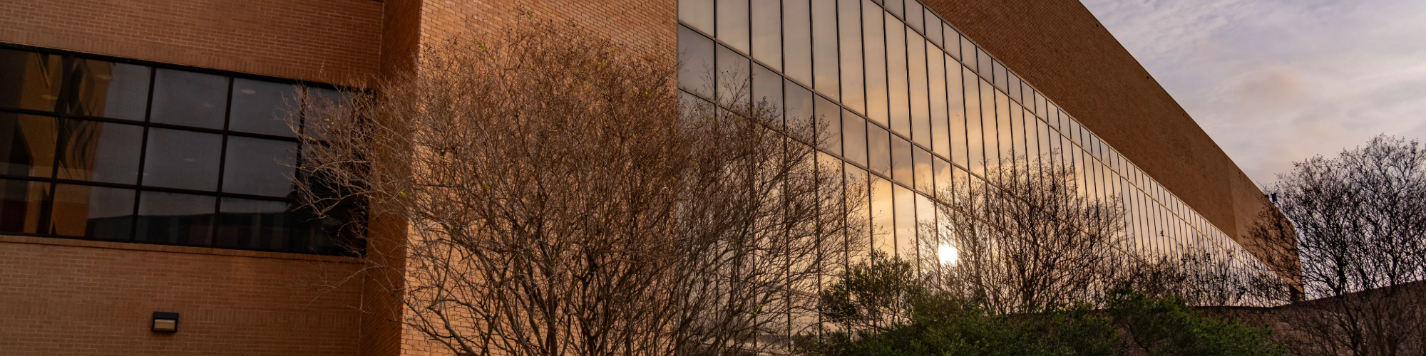 Exterior of campus building with sun setting.