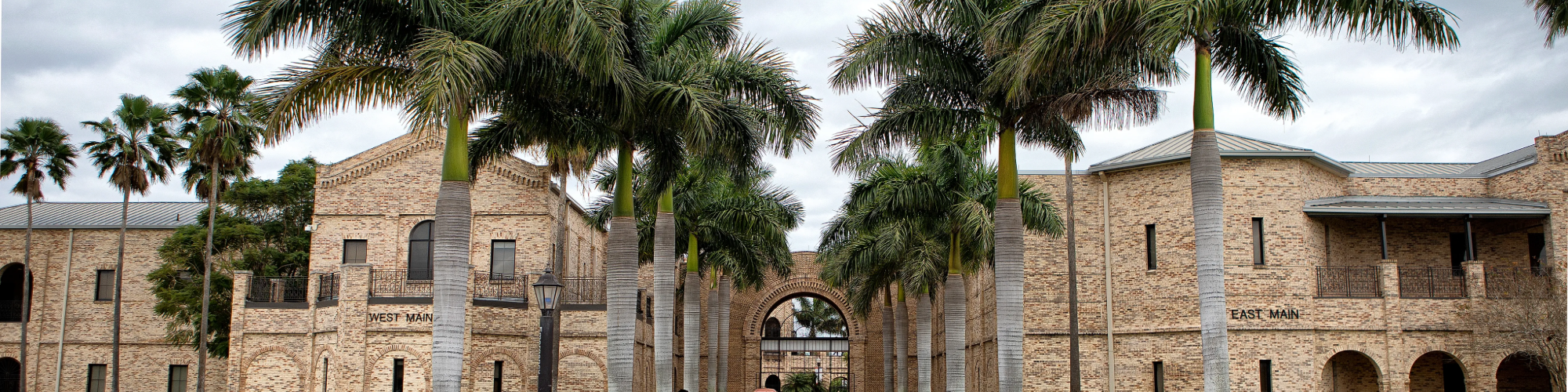 Campus building with palm trees surrounding it.