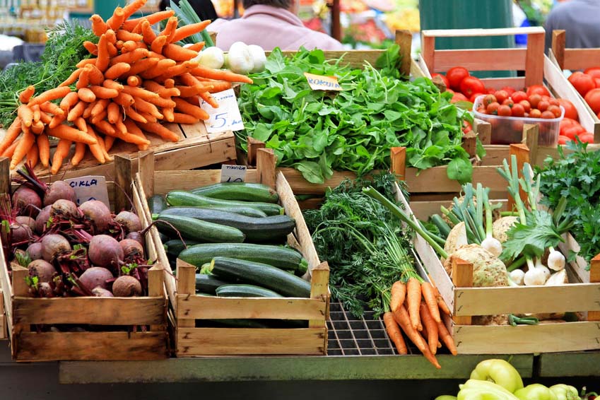 food bank of the RGV