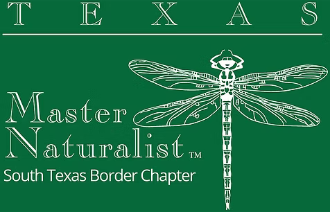 texas master naturalist, south Texas border chapter