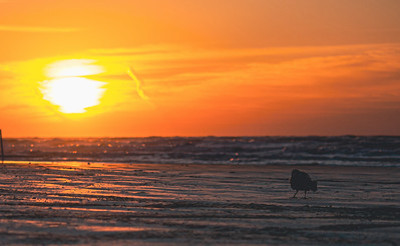 Texas Parks & Wildlife