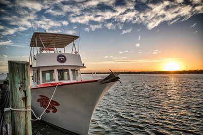 Coastal Studies Lab