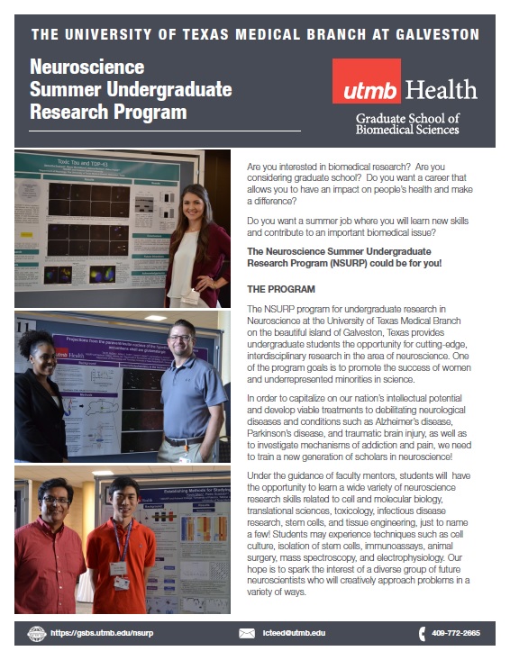 Neuroscience Summer Undergraduate Research Program