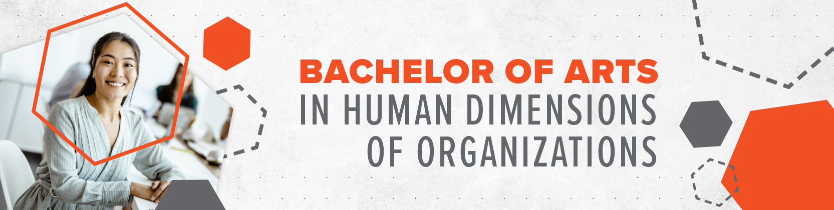 Bachelor of Arts in Human Dimensions of Organizations Page Banner 