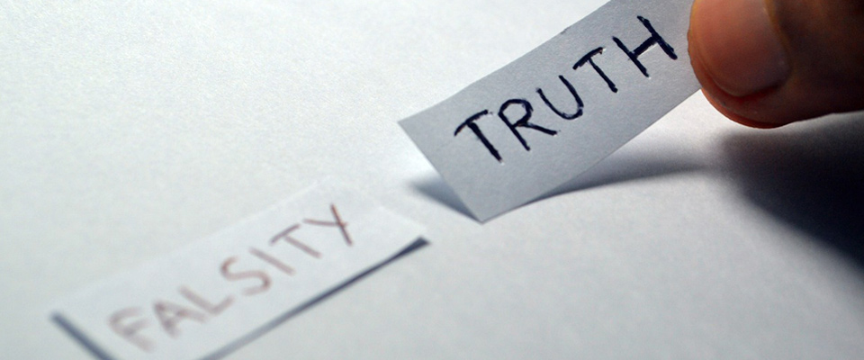 Falsity & Truth Image