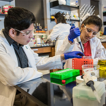 Laboratory setting with two people in lab coats working with pipettes and test tubes on a bench.