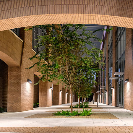 Aaronson Library Courtyard