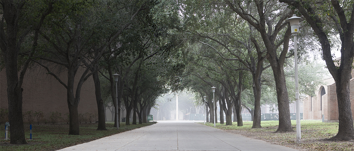 Office of Human Resources | UTRGV