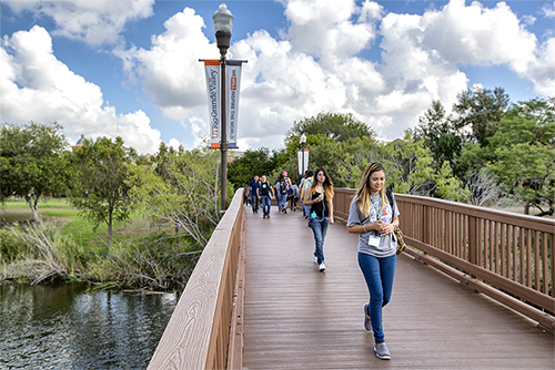 Office of Human Resources | UTRGV