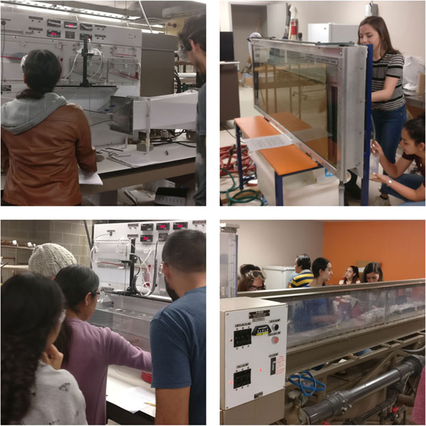 collage of students in the lab